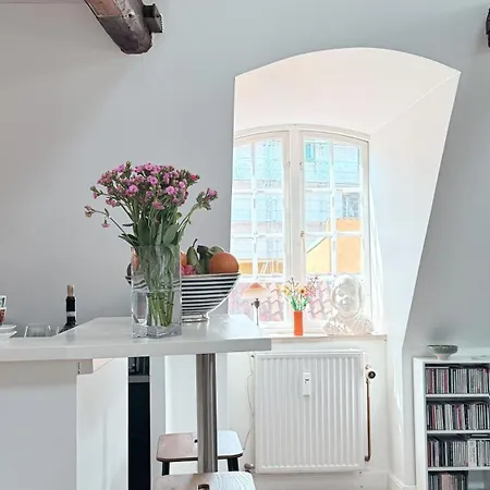 Apartmentincopenhagen 1705 아파트 코펜하겐
